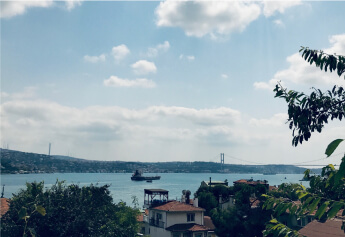 sustainable procurement